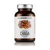 Chaga