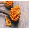 Cordyceps