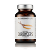 Cordyceps