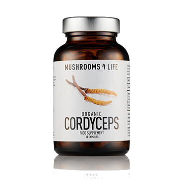 Cordyceps