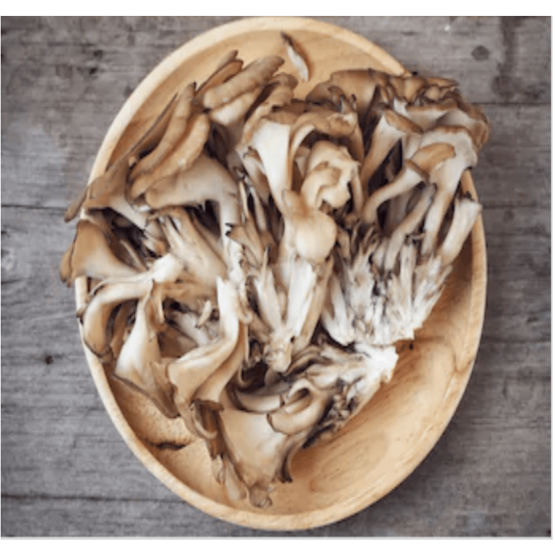 Maitake