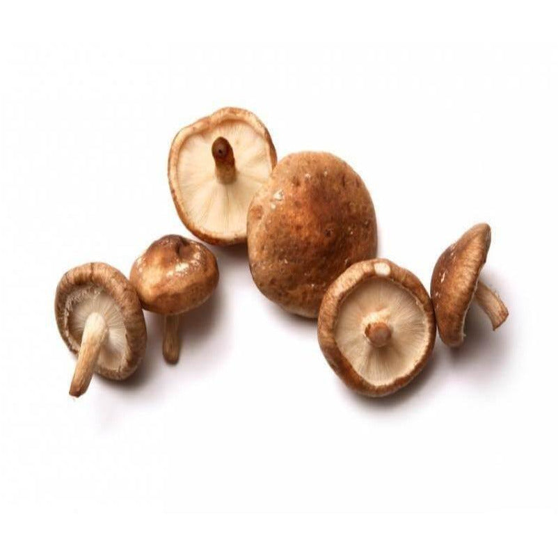 Shiitake